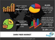 Dark Fiber Industry