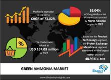 green ammonia market