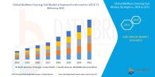 Wellbore Cleaning Tool Market