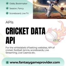 cricket api