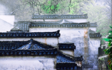 Best Places to See Wildflowers in China