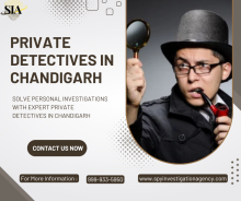Private Detectives in Chandigarh - Spy Investigation Agency 