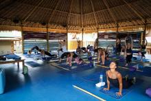 Bali Yin Yoga Teacher Training