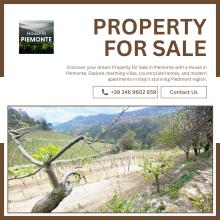 Property for Sale in Piemonte 