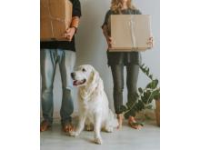 Mark’s Moving & Storage