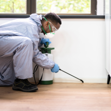 Kitchen organizing company, Furniture cleaning company, Pest control services Lebanon