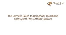Skyland Ranch Horseback Riding