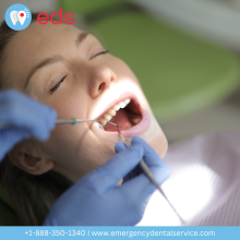 Dental Emergency, 24 Hour Dentist, Emergency Dental Services