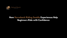 Horseback riding Seattle