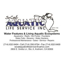 Aquarium Maintenance Services