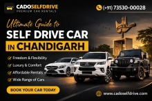 Self Drive Car in Chandigarh