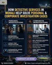 How Detective Services in Mohali Help Solve Personal & Corporate Investigation Cases