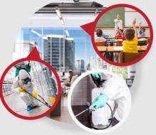 Pest Control St George