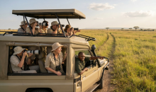 Wildlife tours 