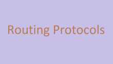 Routing Protocols