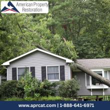 Storm Damage Restoration New Market