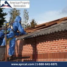 Asbestos Abatement Hazel Green