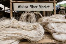 Abaca Fiber Market