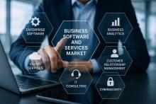Business Software and Services Market Size