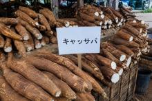 Cassava Market Size