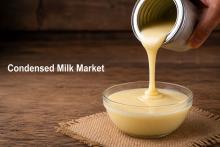 Condensed Milk Market Size