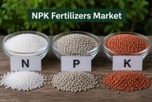 NPK Fertilizers Market Size