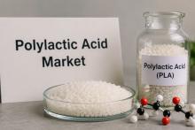Polylactic Acid Market Size