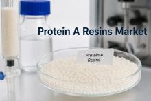 Protein A Resins Market