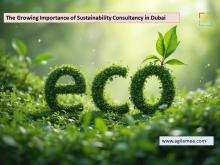 The Growing Importance of Sustainability Consultancy in Dubai