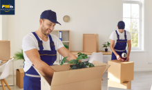 prime zone movers