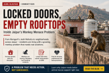 Recurring monkey trouble in Jaipur? See why professional monkey catcher service in Jaipur teams offer safer, lasting relief than DIY methods.