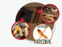 Pest Control Sutherland