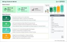  Mining Chemicals Market 