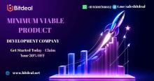 Minimum Viable Product Development company