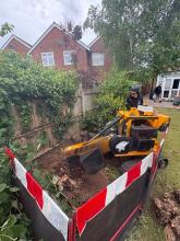 stump removal