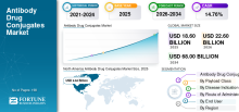 Antibody Drug Conjugates, Antibody Drug Conjugates Industry, Antibody Drug Conjugates Market, Antibody Drug Conjugates Market Size, Antibody Drug Conjugates Market Share, Antibody Drug Conjugates Market Trends, Antibody Drug Conjugates Market Growth, Antibody Drug Conjugates Market Demand
