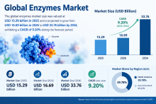 Enzyme Manufacturing Market Trends, Production Analysis, and Forecast 2026–2034