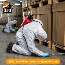 Pest Control Huntsville AL