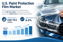U.S. Paint Protection Film Competitive Landscape