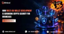Multi-sig crypto wallet development company