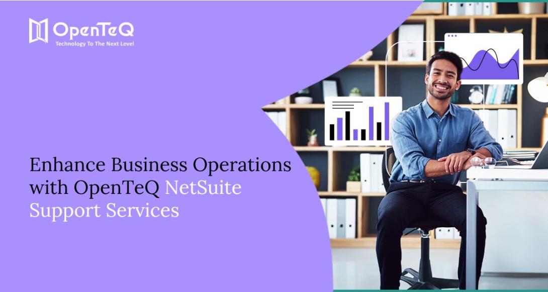 NetSuite Support Services