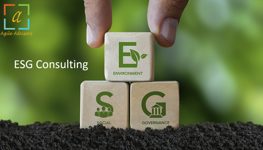 ESG Consulting