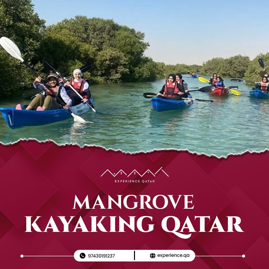 mangrove kayaking Qatar