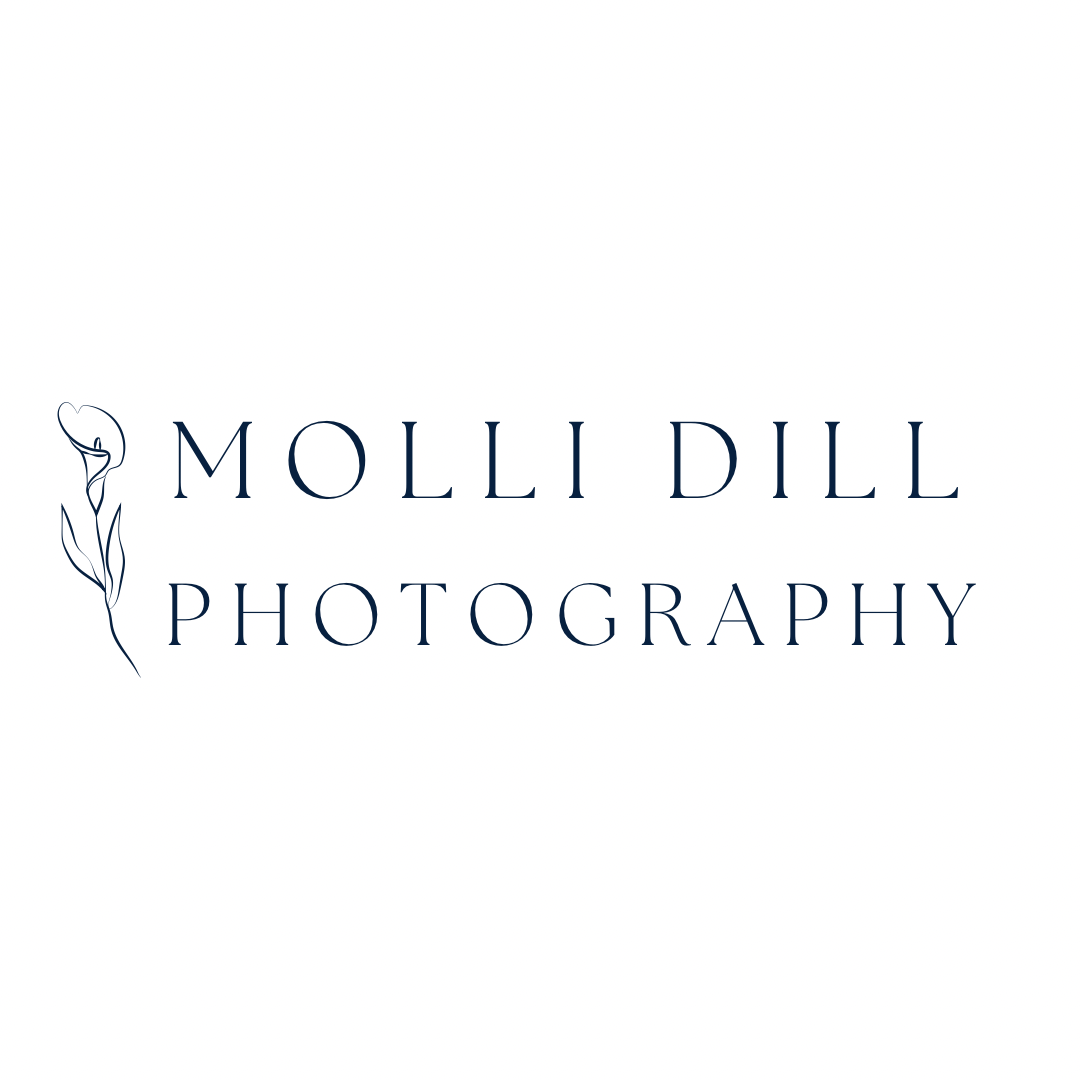 Photography