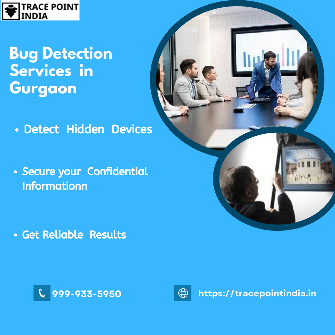 Bug Detection Services in Gurgaon