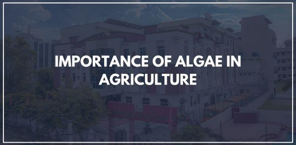 IMPORTANCE OF ALGAE IN AGRICULTURE