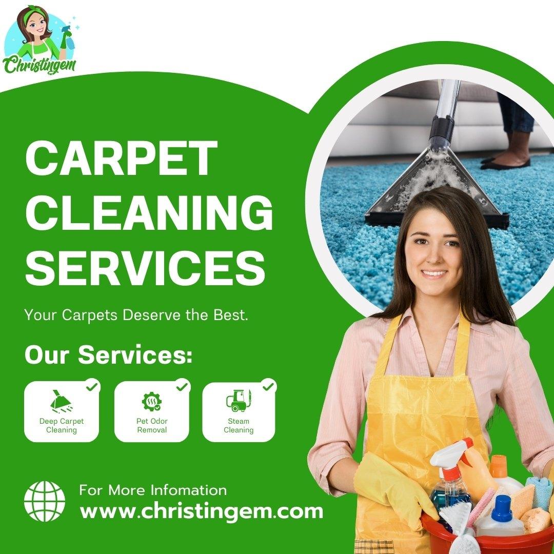 Professional Carpet Cleaning Services in Houston, TX