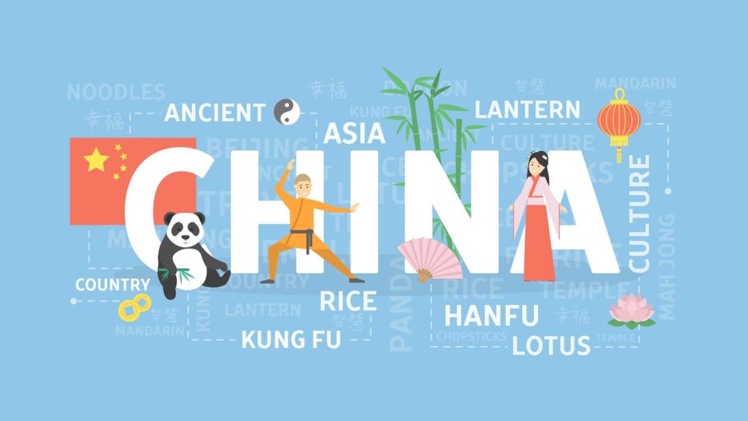Professional Translation Services