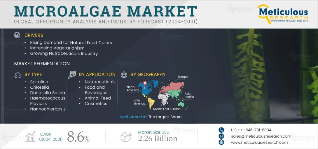 #Microalgae, #MarketAnalysis, #Spirulina, #Chlorella, #DunaliellaSalina, #Nannochloropsis, #Photobioreactors, #Fermenters, #Ponds, #Nutraceuticals, #FoodAndBeverages, #NaturalPigments, #HealthAndWellness, #DietarySupplements, #SustainableProducts, #Biotechnology, #GlobalForecast, #MarketTrends, #IndustryGrowth, #ConsumerDemand