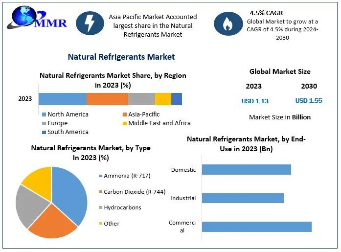 The Natural Refrigerants Market is expanding due to increasing demand for eco-friendly cooling solutions, driven by environmental regulations and sustainability goals.​